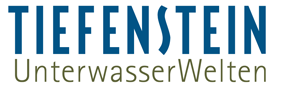 Tiefenstein Unterwasserwelten